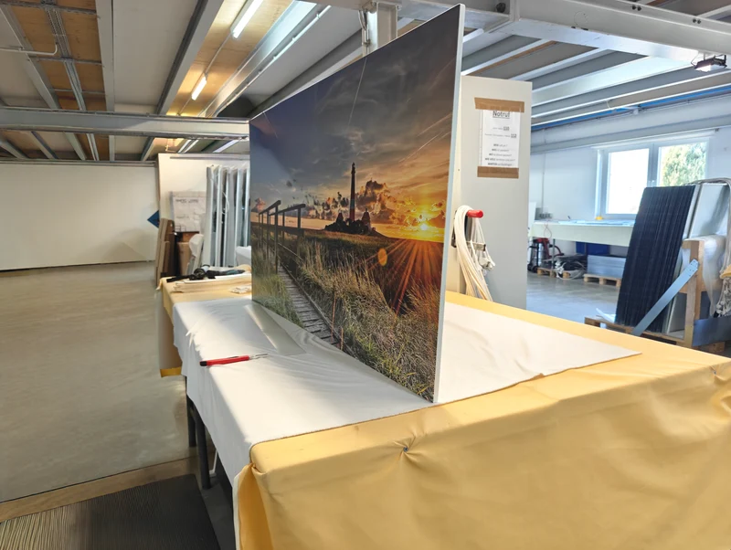 Infrarood verwarmingspaneel met print 300 Watt | 60x60cm