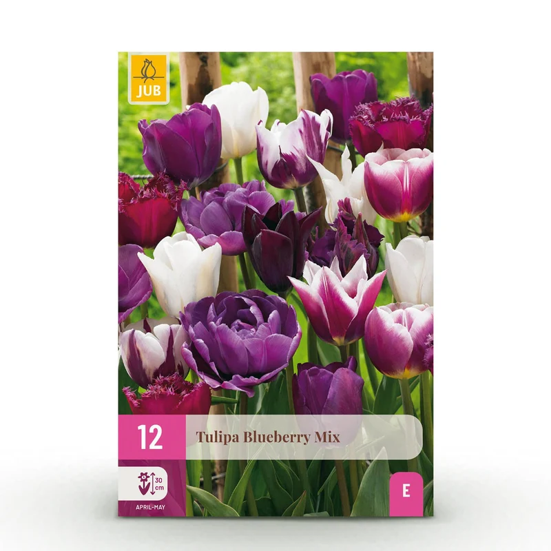 Tulp Blueberry mix