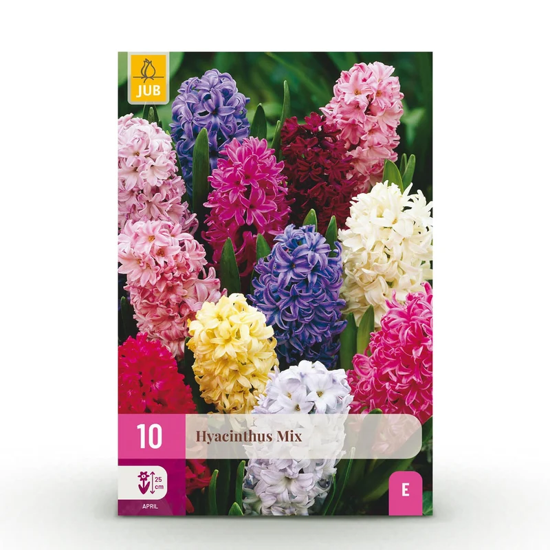 Hyacinth mix