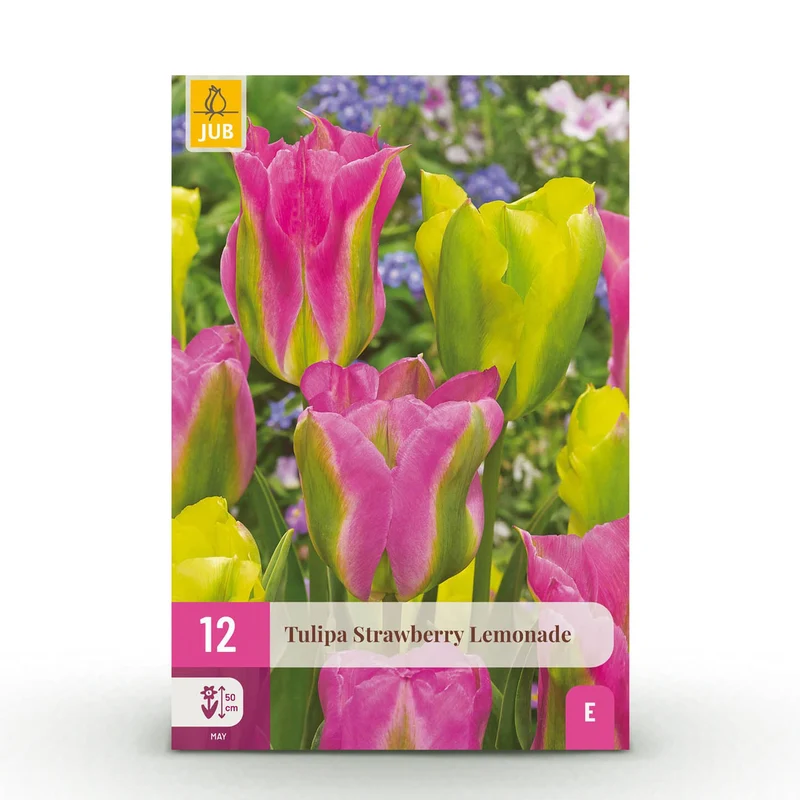 Tulp Strawberry Lemonade