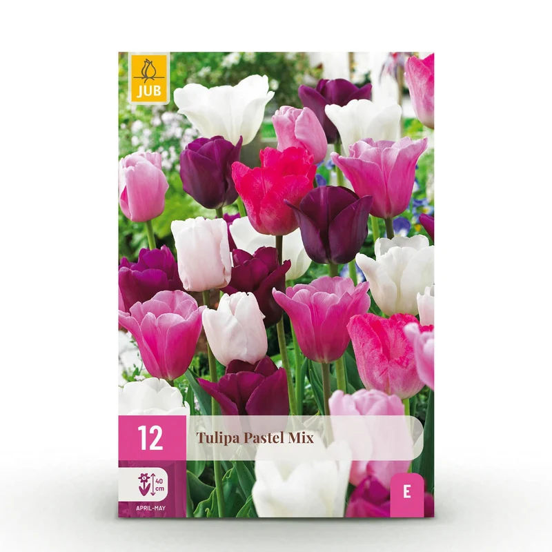 Tulp Pastel mix