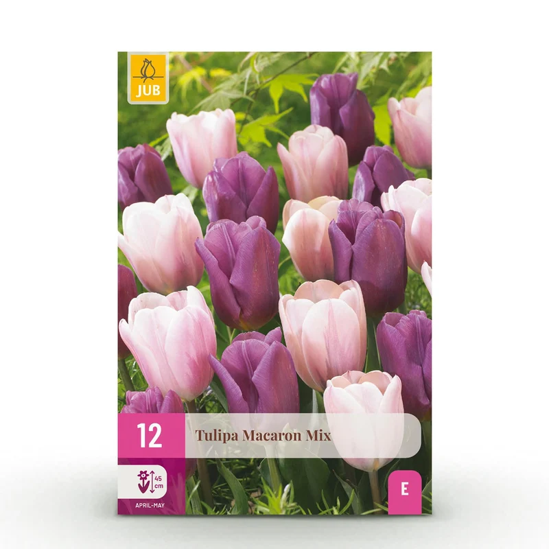 Tulp Macron mix