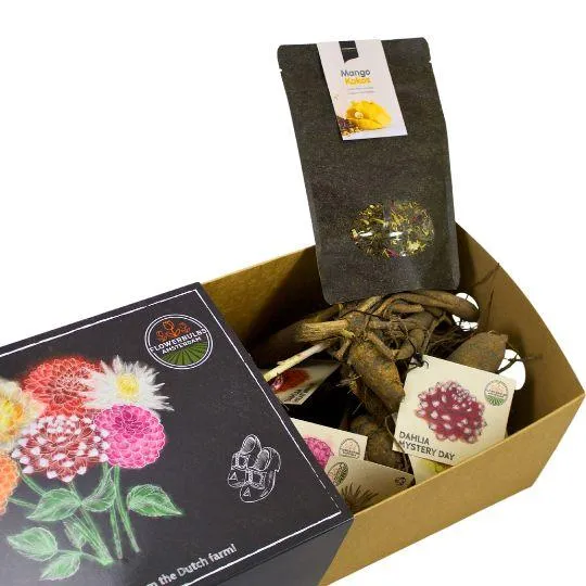 Dahliapakket L, set van 6 dahlia's + Mango Kokos Thee, geschenk