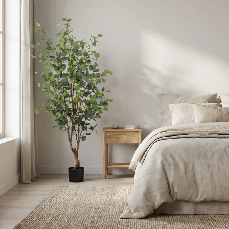 Eucalyptus boom