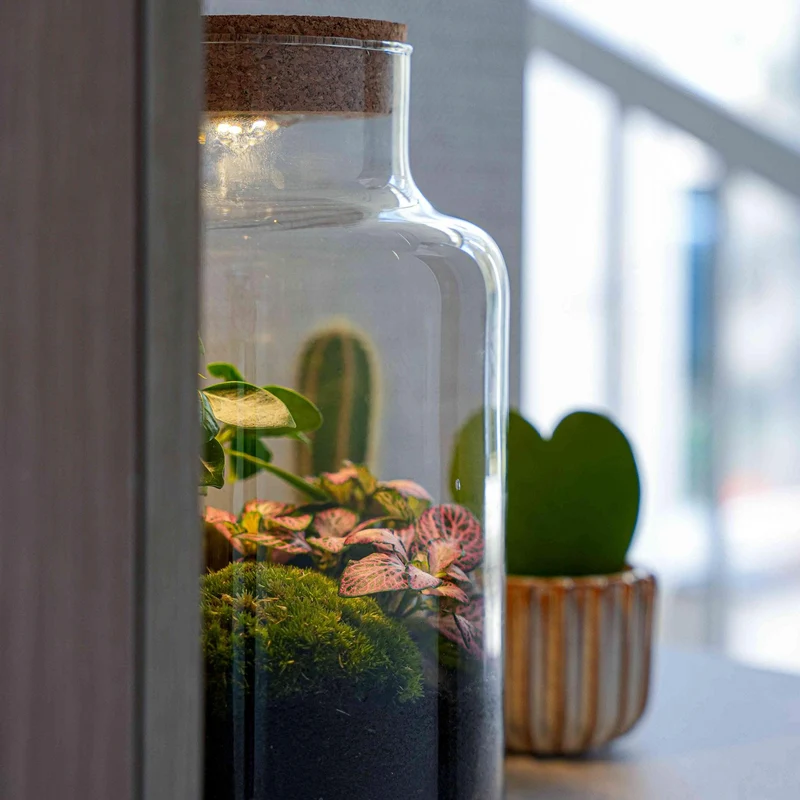 'Love Mom' terrarium Little Milky met gegraveerde kurk en licht
