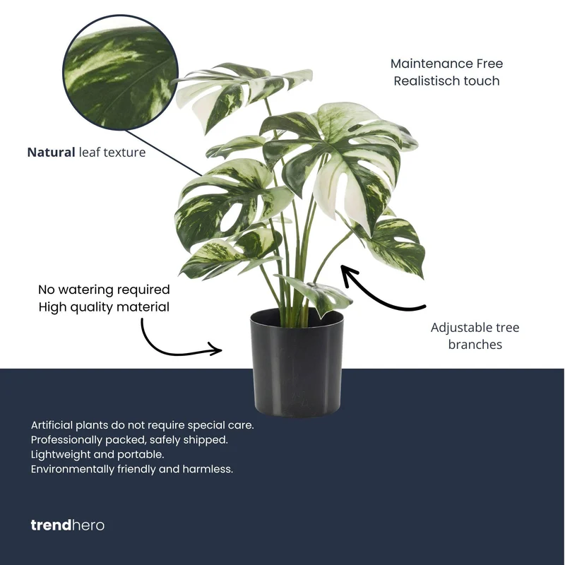 Monstera bush in pot