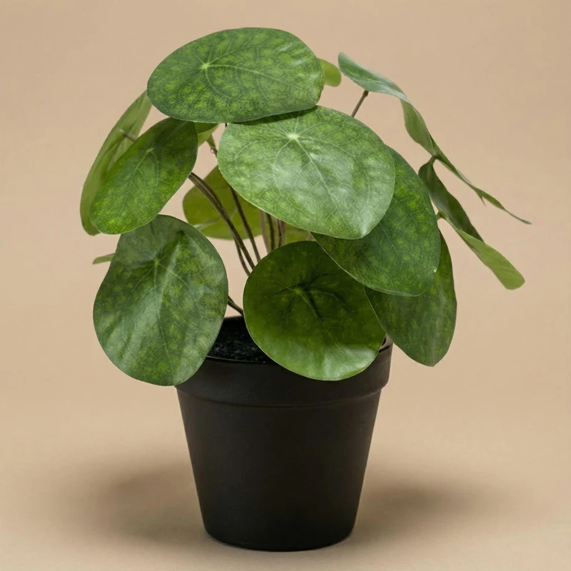 Pilea bush kunstplant in zwarte pot