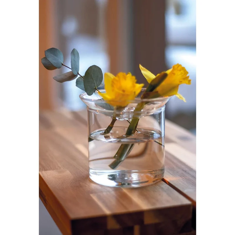Propagation vase L