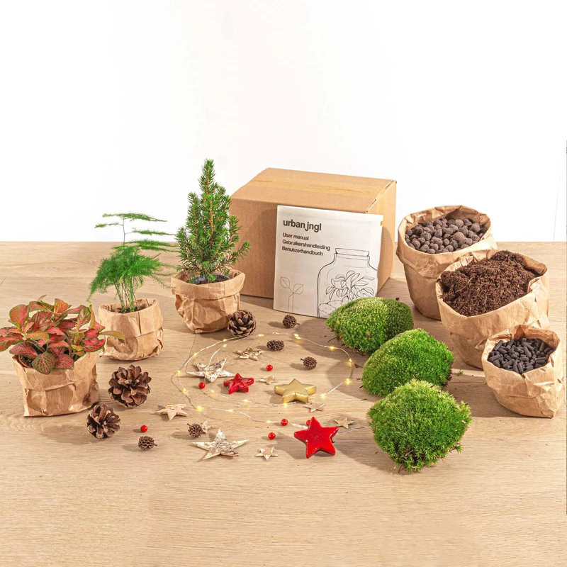 Planten terrarium pakket - Mini-kerstboom - 3 planten - Navulling & Startpakket - DIY Christmas