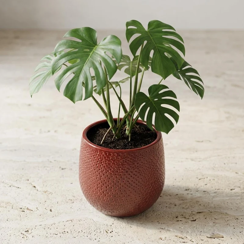 Pot Gabriel rond bordeaux