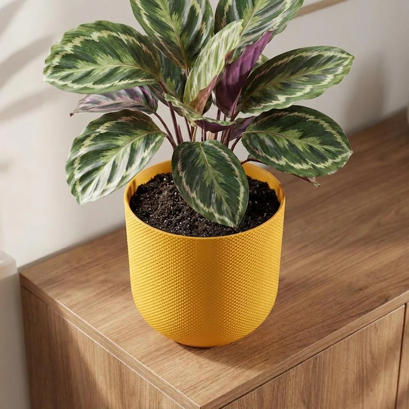 Pot Elho Jazz Round Amber Yellow