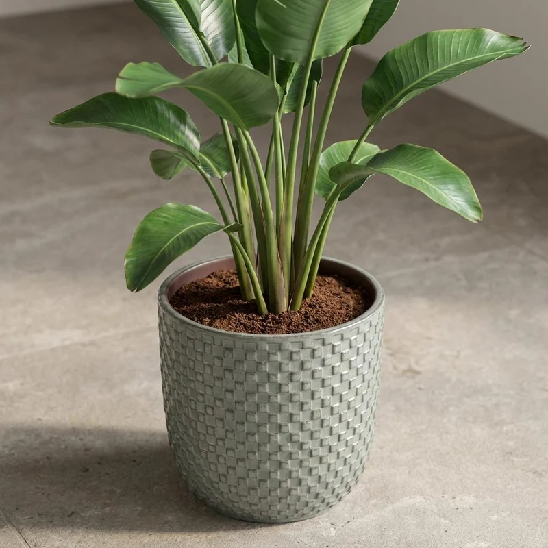 Pot relief groen D13,5