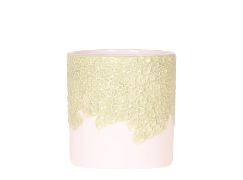 Bloom sierpot - Green
