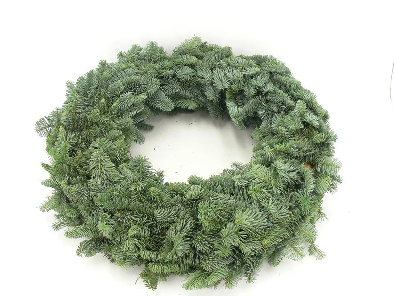Nobilis Krans