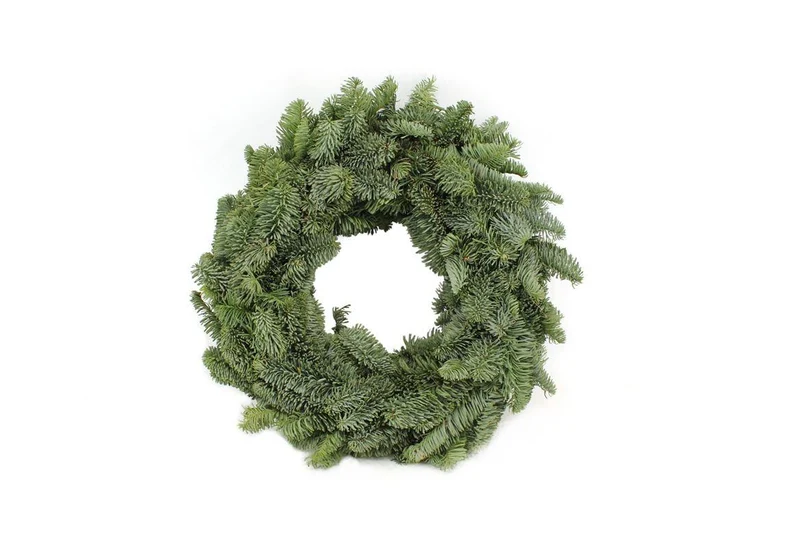 Nobilis Krans