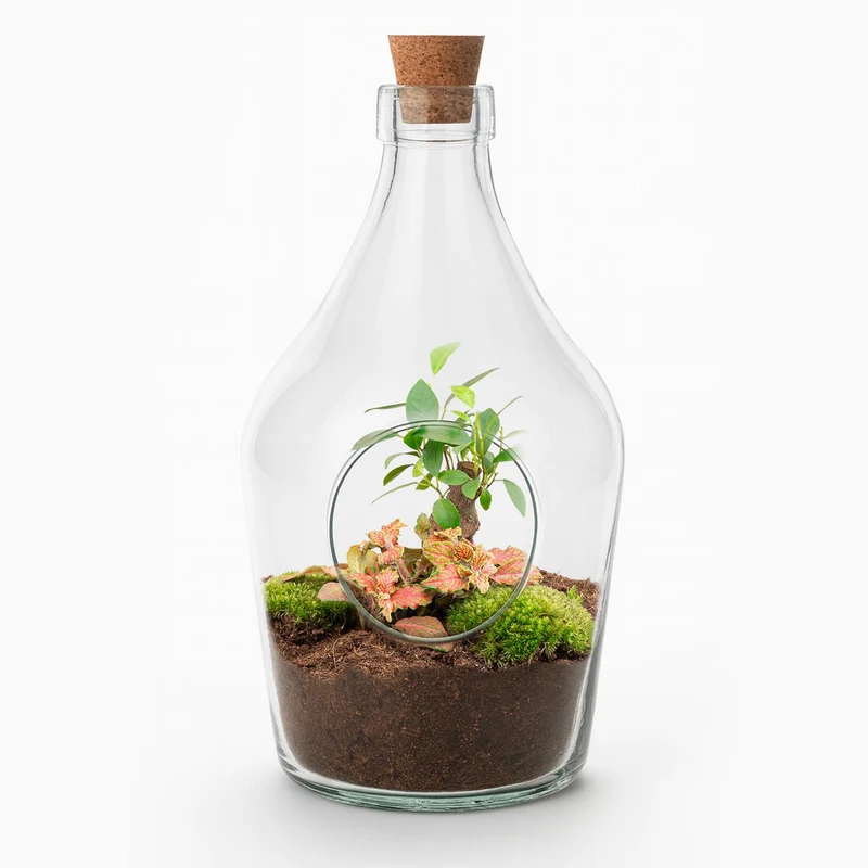 Open terrarium John