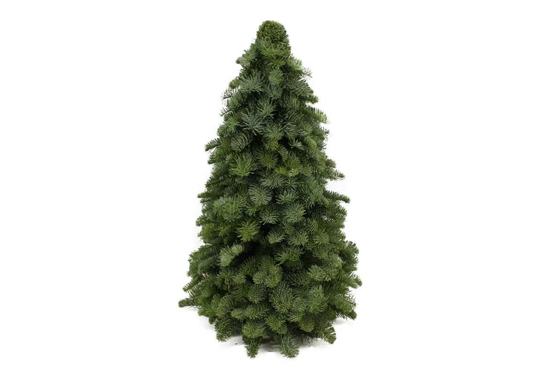Nobilis Kerstboom
