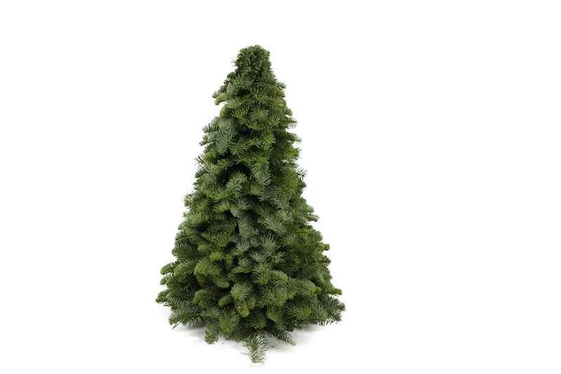 Nobilis Kerstboom