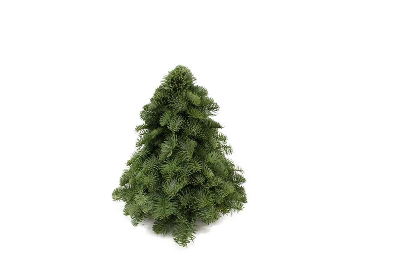 Nobilis Kerstboom