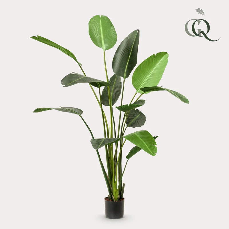 Kunstplant - Strelitzia Nicolai - Paradijsvogelbloem