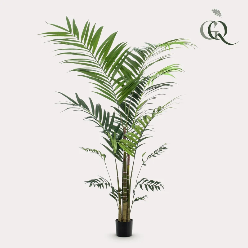 Kunstplant - Kentia -Kentiapalm