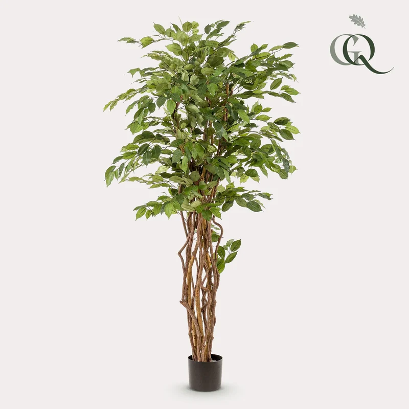 kunstplant - Ficus liana - Vioolbladplant