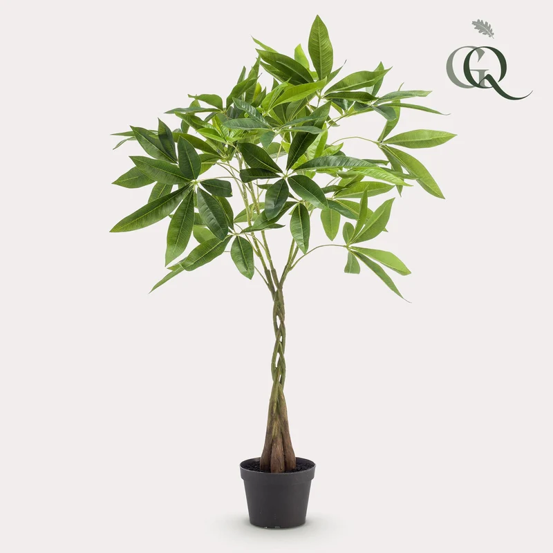kunstplant - Pachira aquatica - Geldboom