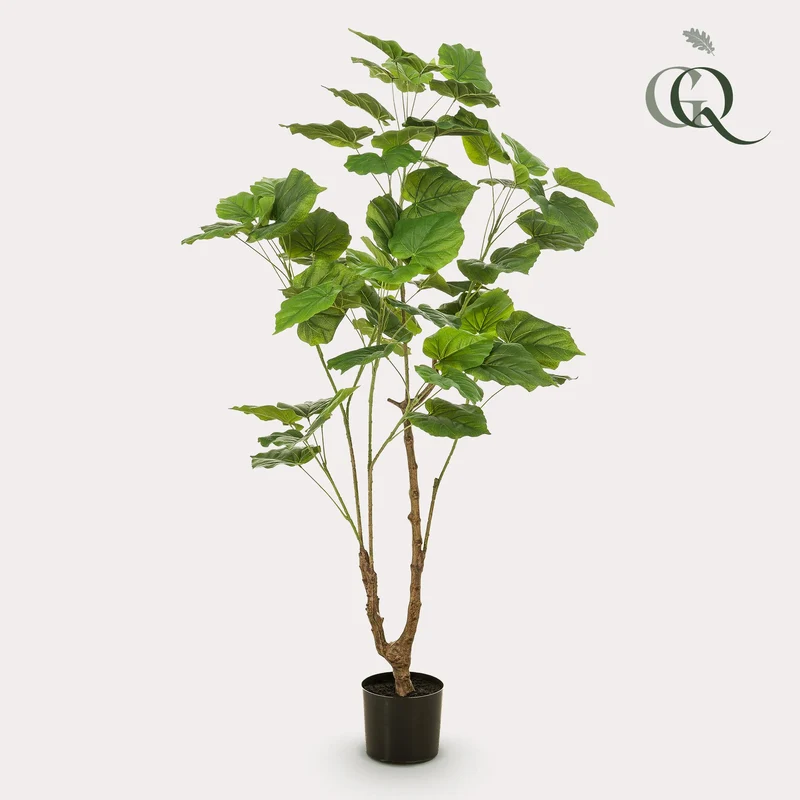 Kunstplant - Ficus umbellate - Afrikaanse vijg