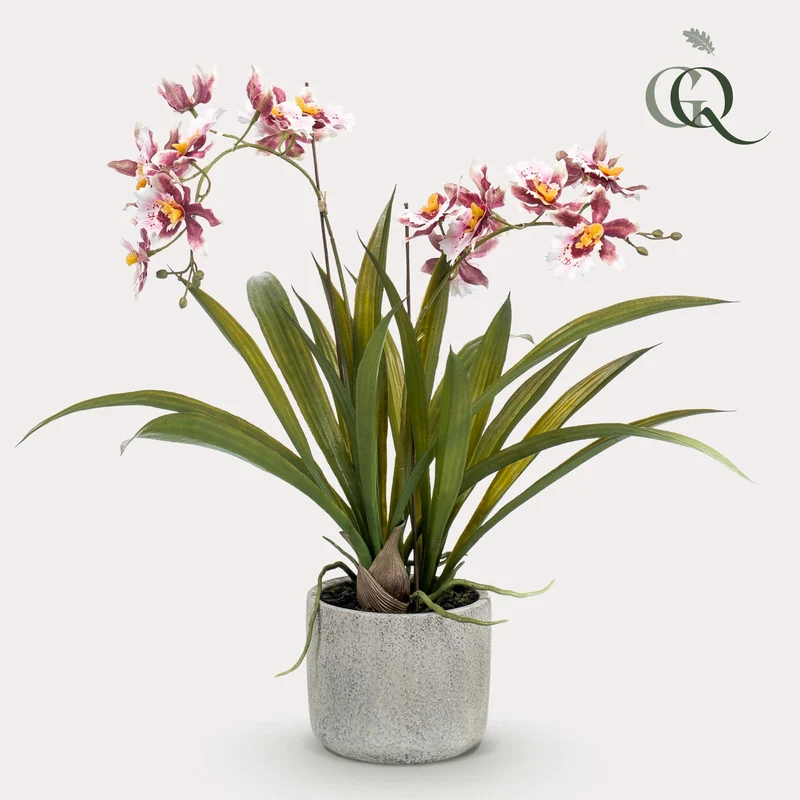 Kunstplant - Orchidee - Bordeaux