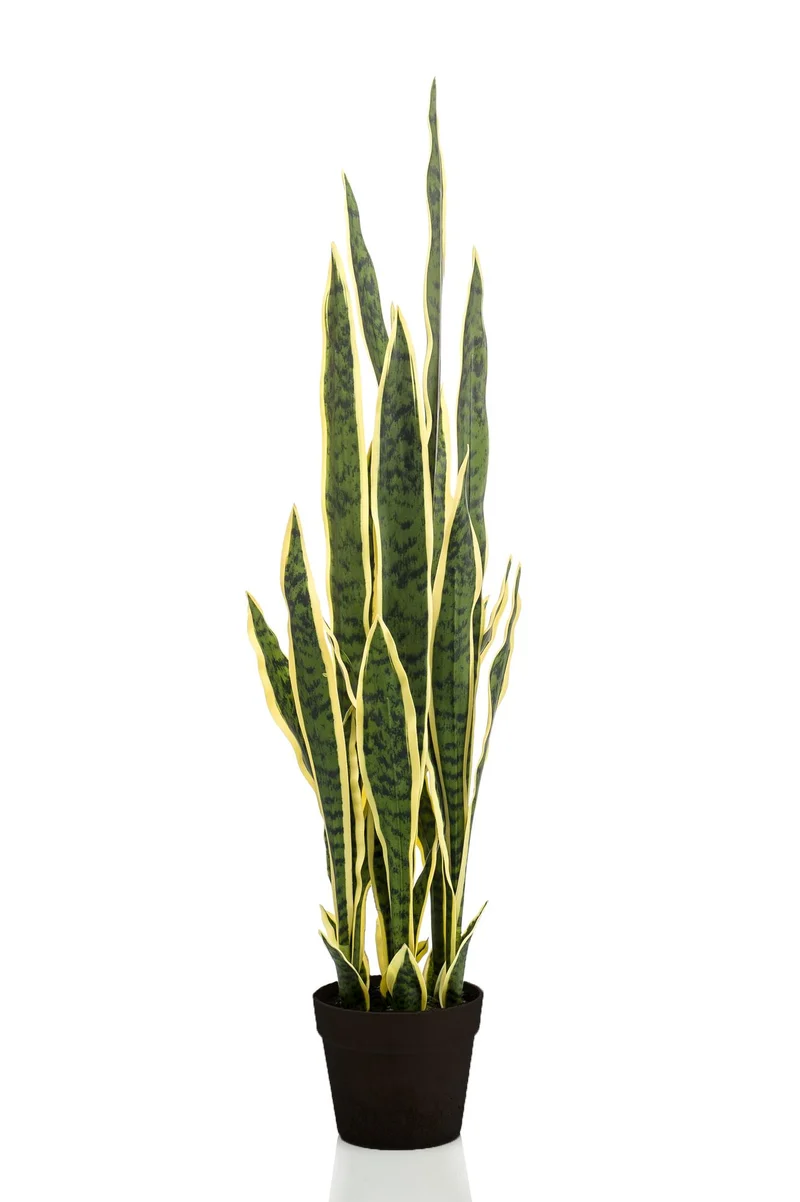 Kunstplant - Sanseveria Trifasciata - Vrouwentong
