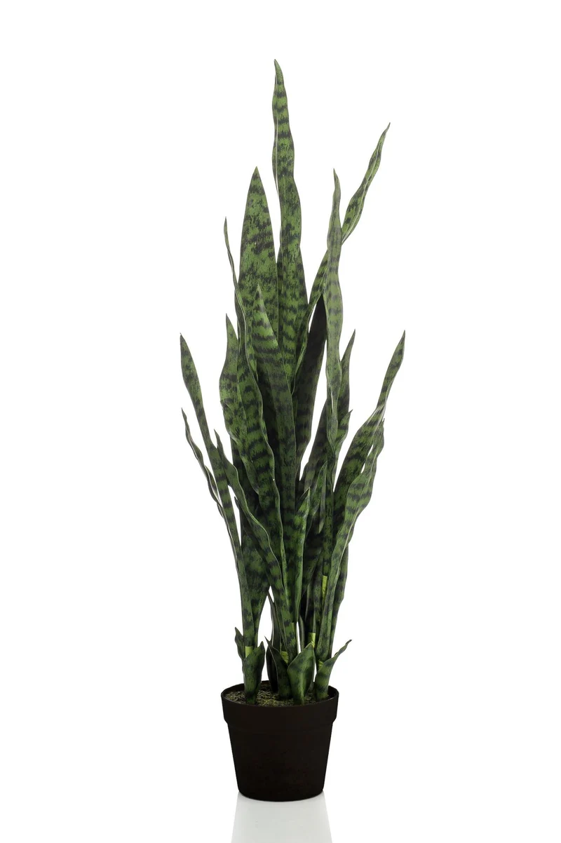 Kunstplant - Sanseveria black coral - Vrouwentong