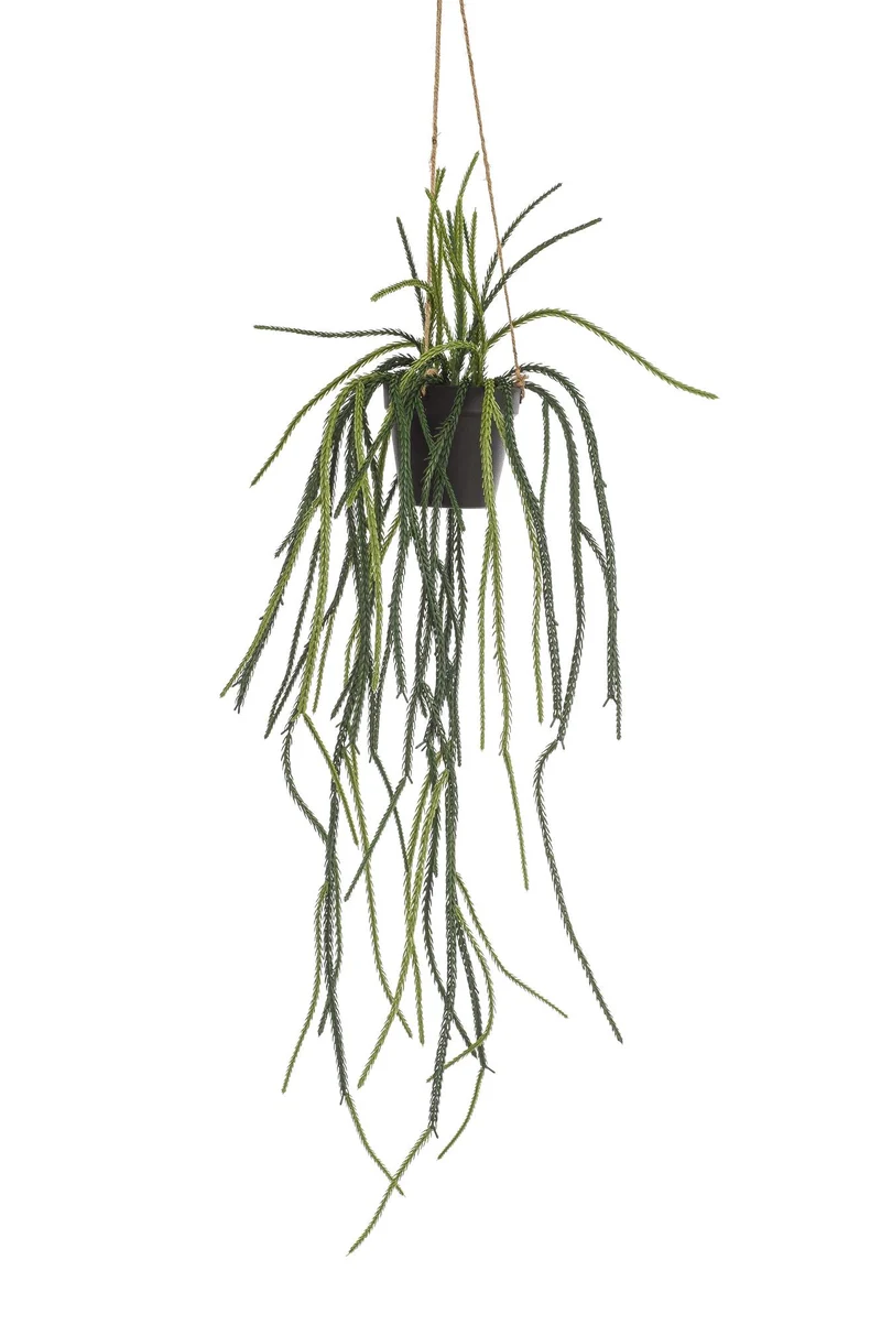 Kunstplant - Rhypsalis - Koraalcactus