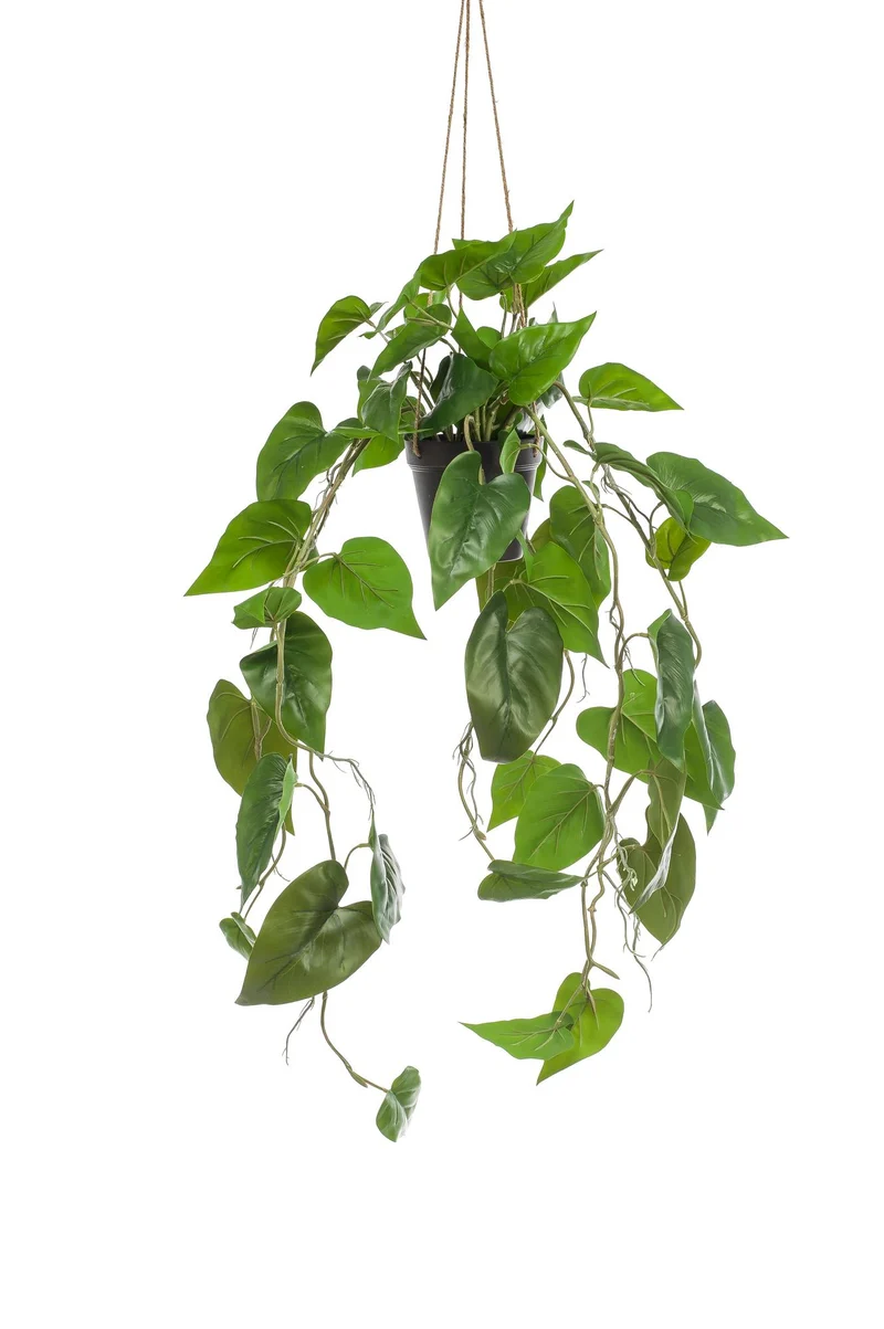 Kunstplant - Philodendron scandens - Klimmende Boomliefhebber