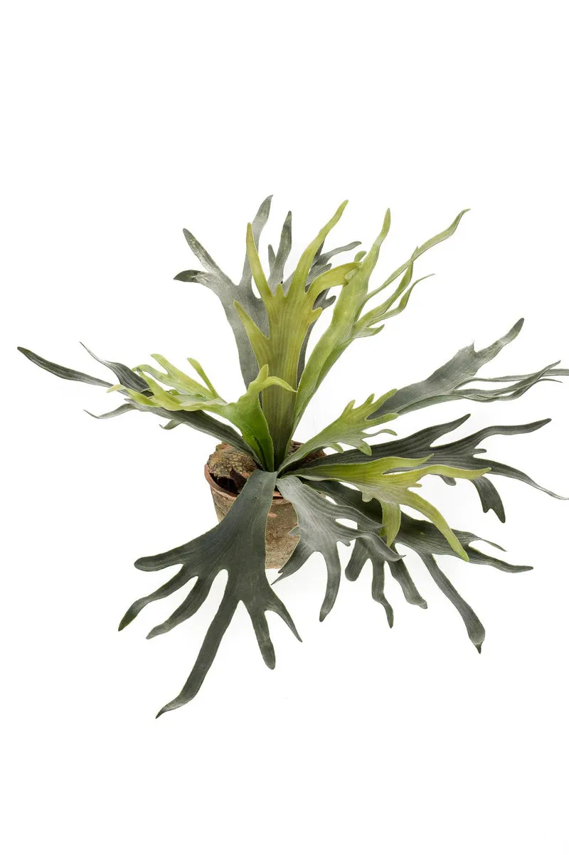 Kunstplant - Platycerium - Hertshoorn