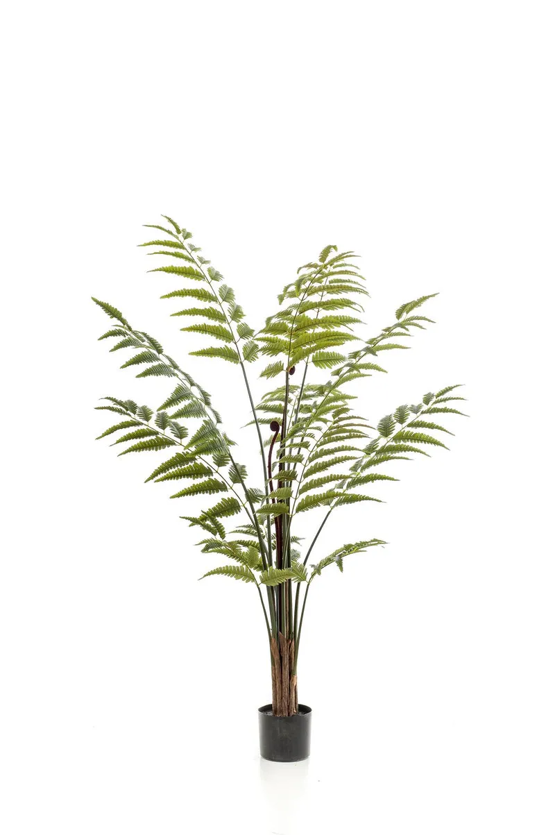 Kunstplant - Rumohra Adiantiformis - Ledervaren