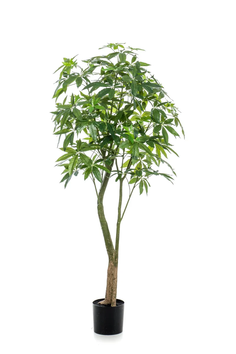 Kunstplant - Pachira Aquatica - Geldboom