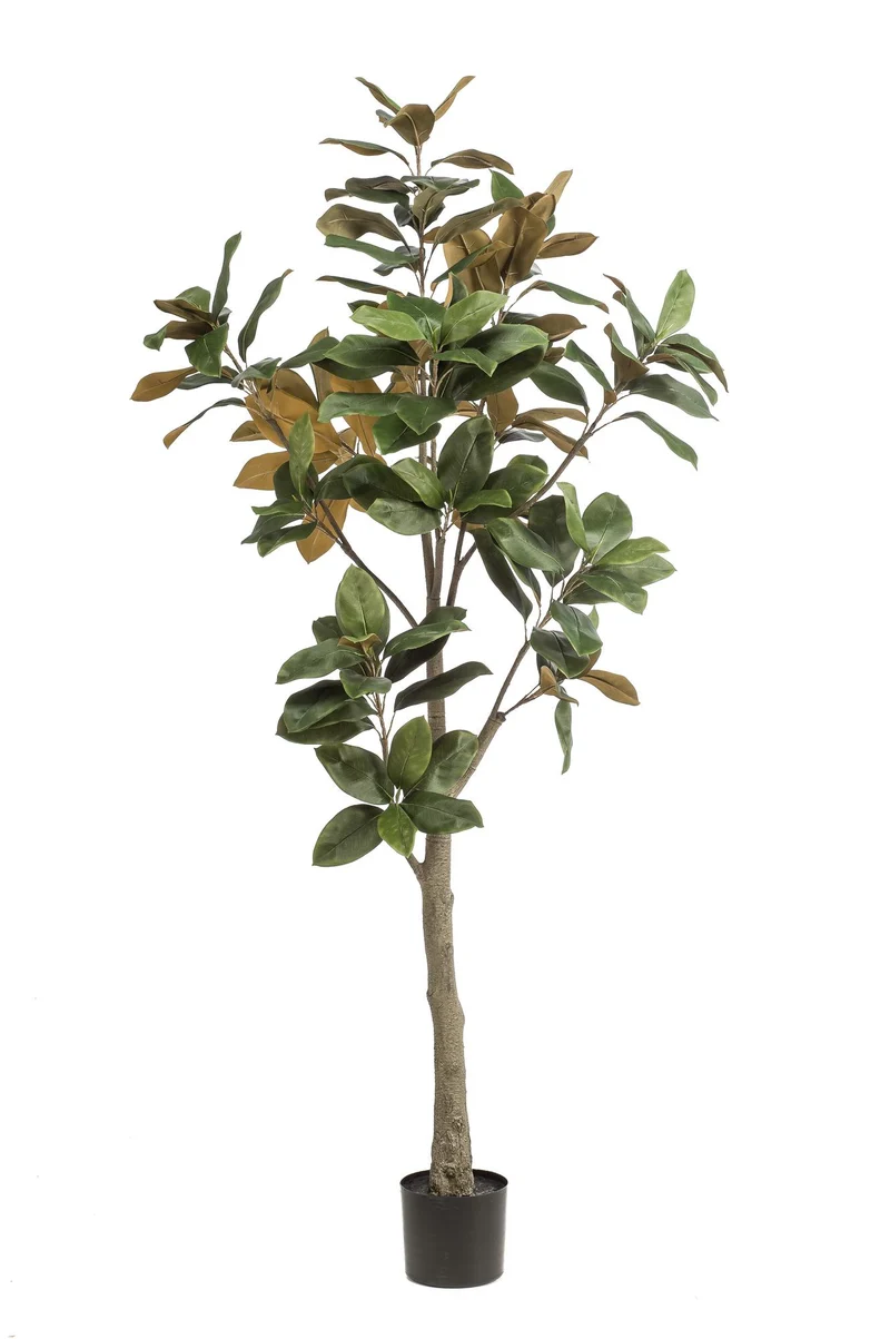 Kunstplant - Magnolia Grandiflora