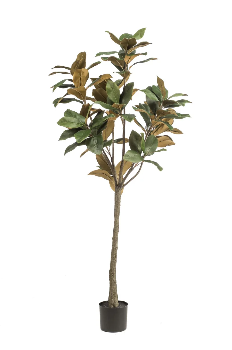 Kunstplant - Magnolia Grandiflora