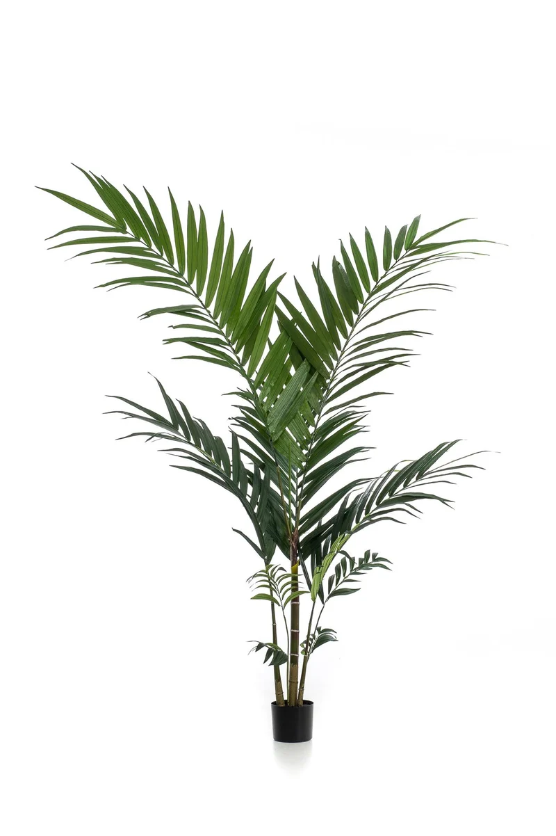 Kunstplant - Kentia -Kentiapalm