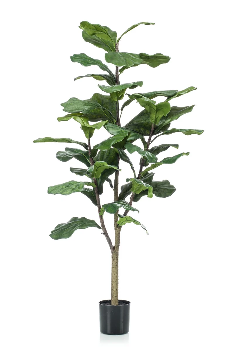 Kunstplant - Ficus Lyrata - Tabaksplant