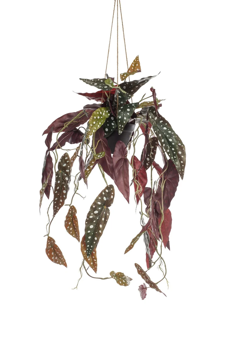 Kunstplant - Begonia Maculata - Stippenbegonia