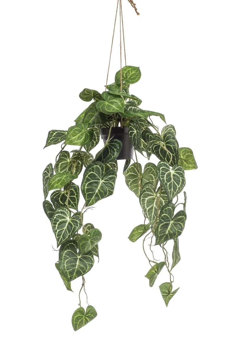 Kunstplant - Anthurium Clarinervium - Aderplant