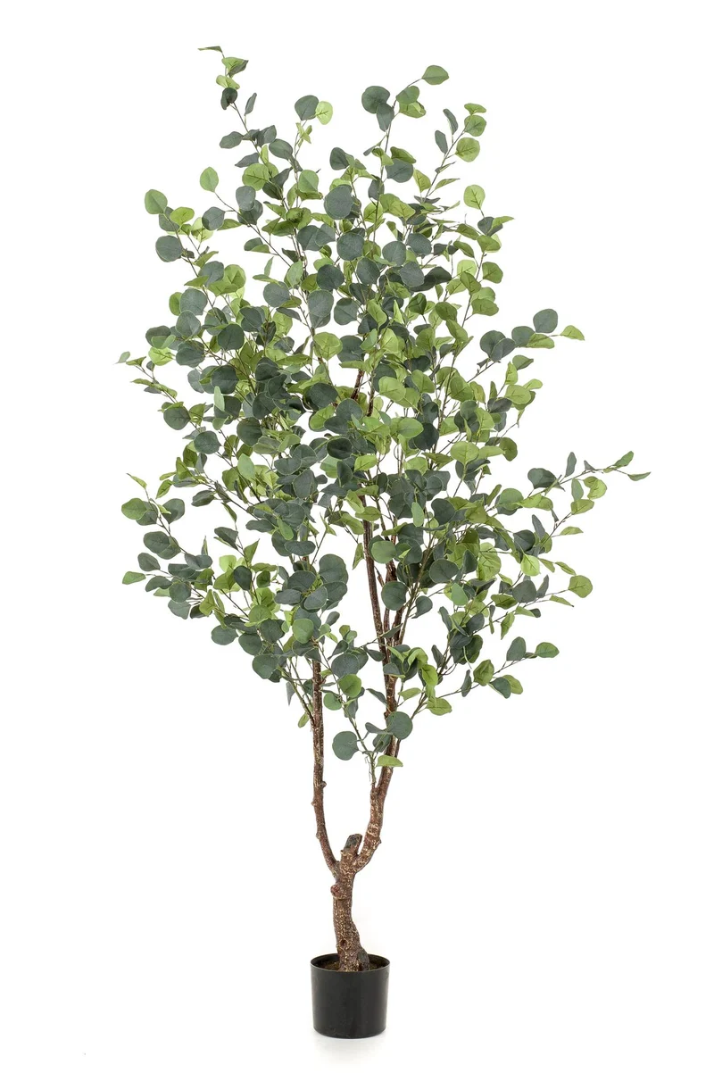 Kunstplant - Eucalyptus - Blauwe Gomboom