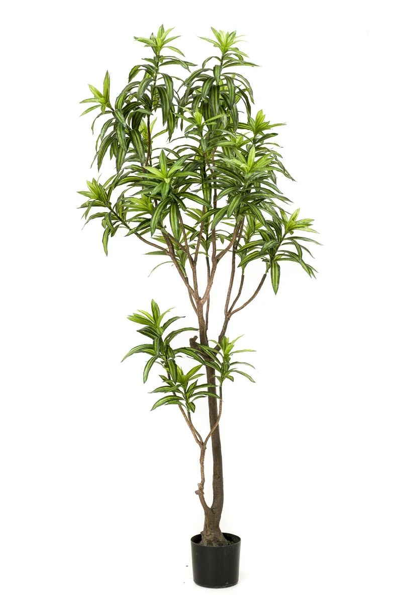 Kunstplant - Dracaena - Drakenboom
