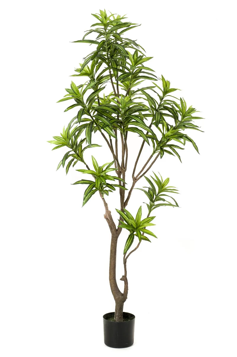 Kunstplant - Dracaena - Drakenboom