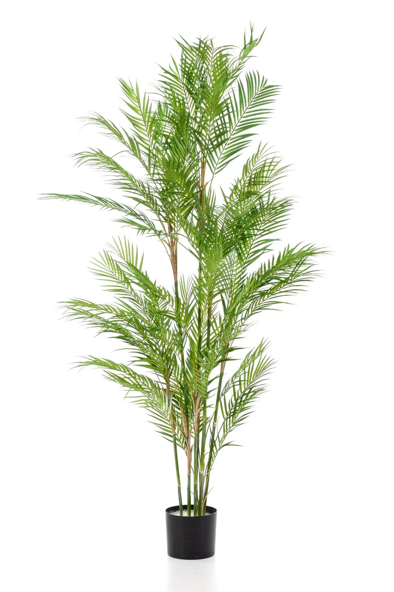 Kunstplant - Chamaedorea Elegans - Bergpalm