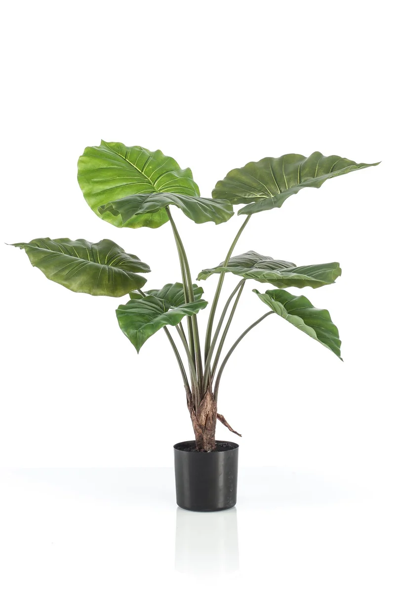 Kunstplant - Alocasia - Olifantsoor