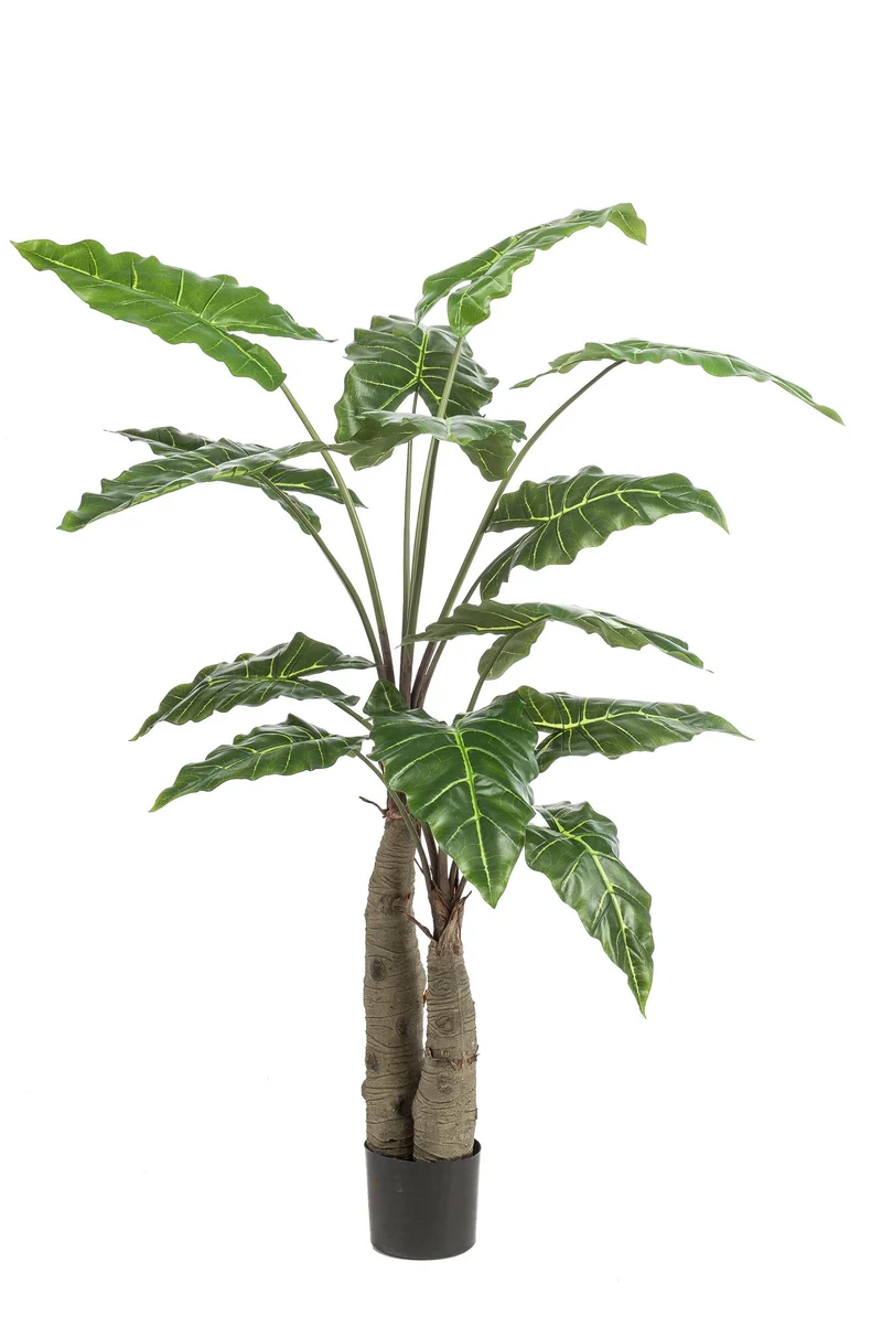 Kunstplant - Alocasia - Olifantsoor