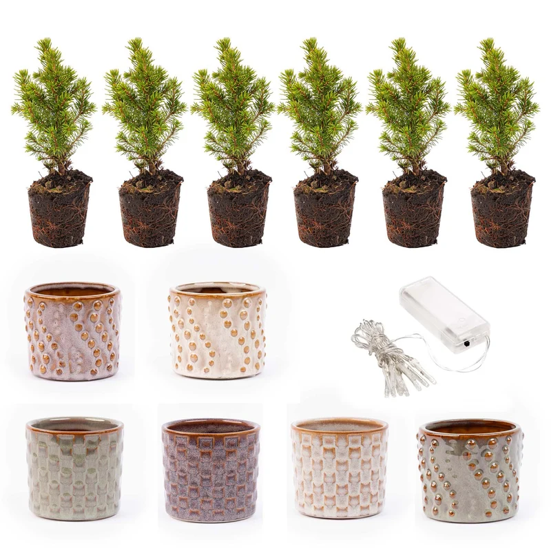 Mini-kerstboom set 6 - Inclusief pot set Madrid + 20 led-lampjes