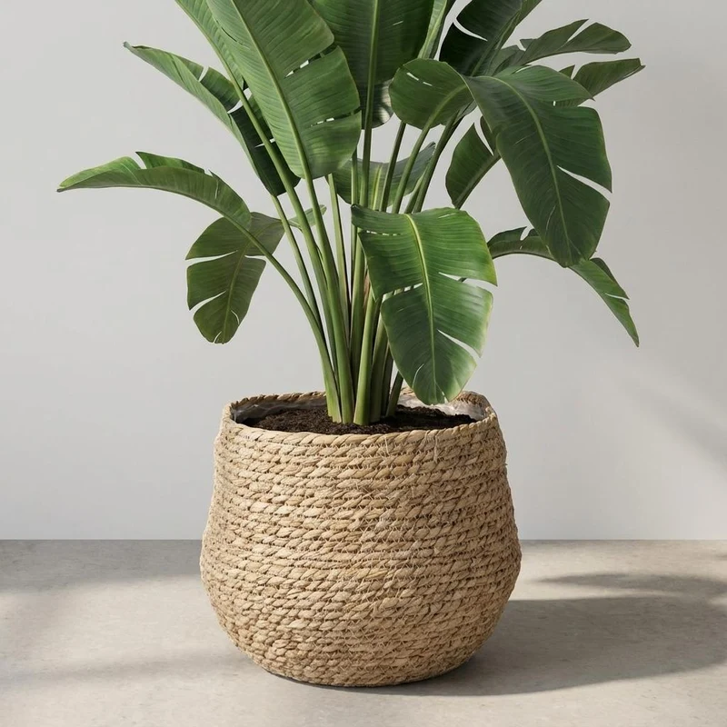 Mand Jorck bruin 26 cm